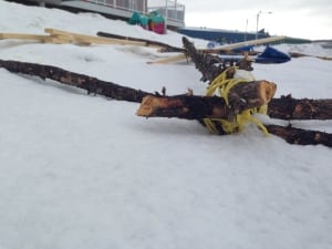 Remnants from the tent