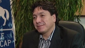 Chief Darcy Bear