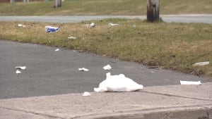 litter St. John's
