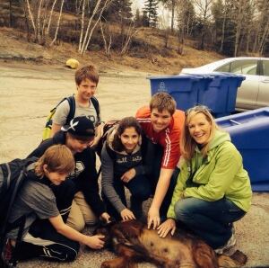 Relaxing with rescue dogs