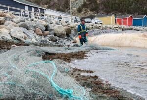 Local crew worker prepares net for blue whale carcass in Trout River