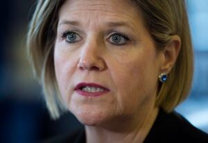 Ont Election NDP 20140506