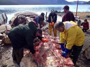 crews working on blue whale tail