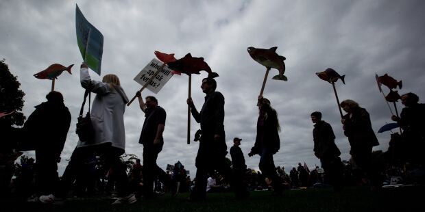 Pipeline Protest 20140510