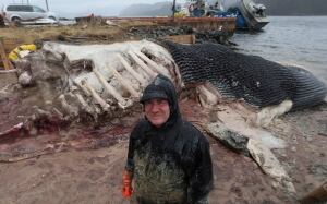 NL Whale Carcasses ROM curator May 10 2014