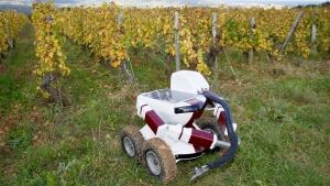 Vineyard robot