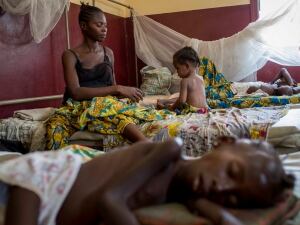 Camille Lepage photojournalist dead