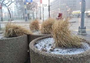 Cold day