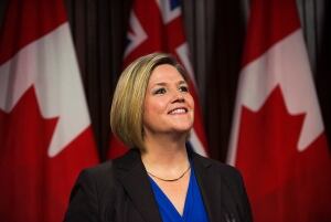 ONT Elxn NDP 20140514