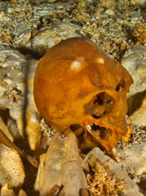 Naia's skull