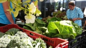 forks farmers market to open