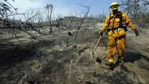 hi-cali-fire-852.jpg