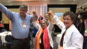 lorraine michael ndp leadership