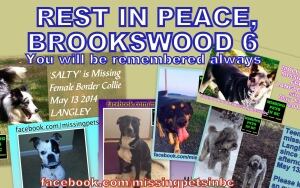 Petsearchers.com
