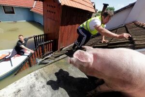 BALKANS-FLOOD/