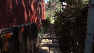 plateau-alley