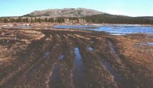 ATV damage Yukon