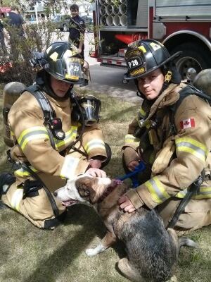 Bella and firefighers