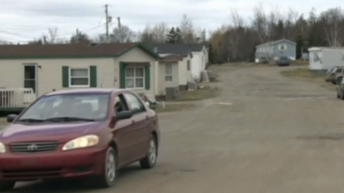 Cape Breton trailer park's new owner says residents can stay CBC News