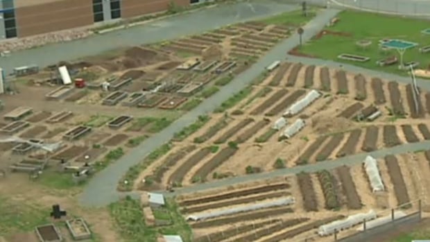 Common Roots Urban Farm
