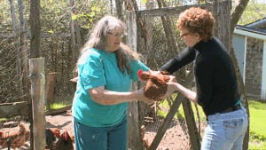 Judy Whalen shows Nancy Fox how to hold chickens
