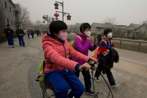 Pollution Deaths