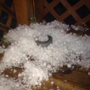 Hail in Melita