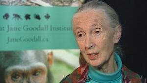 Jane Goodall wants end to breeding program for whales