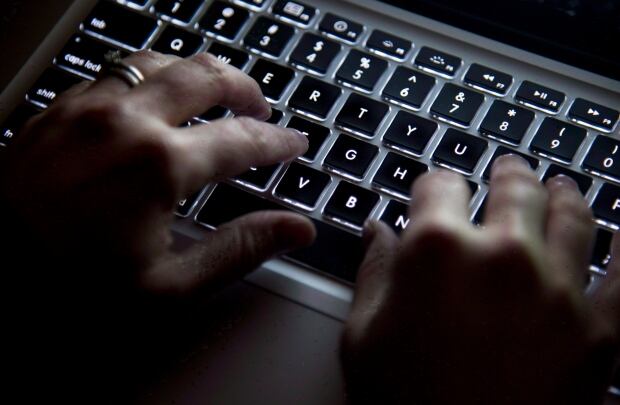Privacy watchdog 20130213