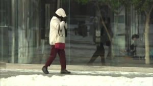 Cold winter