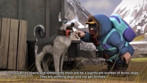 Don't pet the dogs