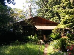 BelcarraCabins-2