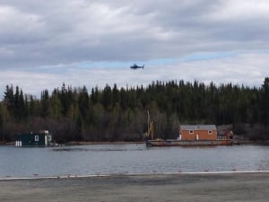 Joliffe Island helicopter searches for bear