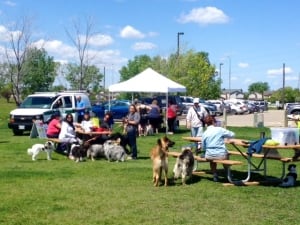 Winnipeg dog fest