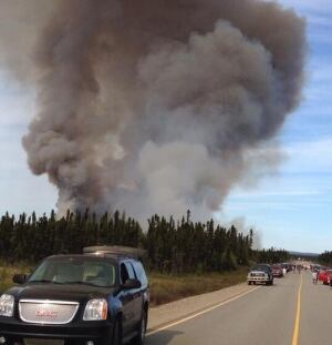 Forest fire