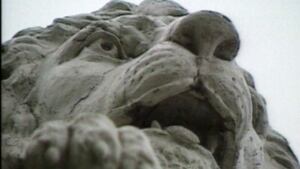 lions