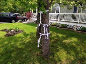 Moncton ribbons