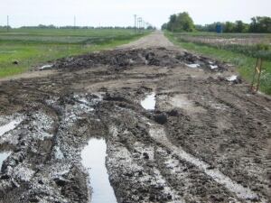 Ruts in the road