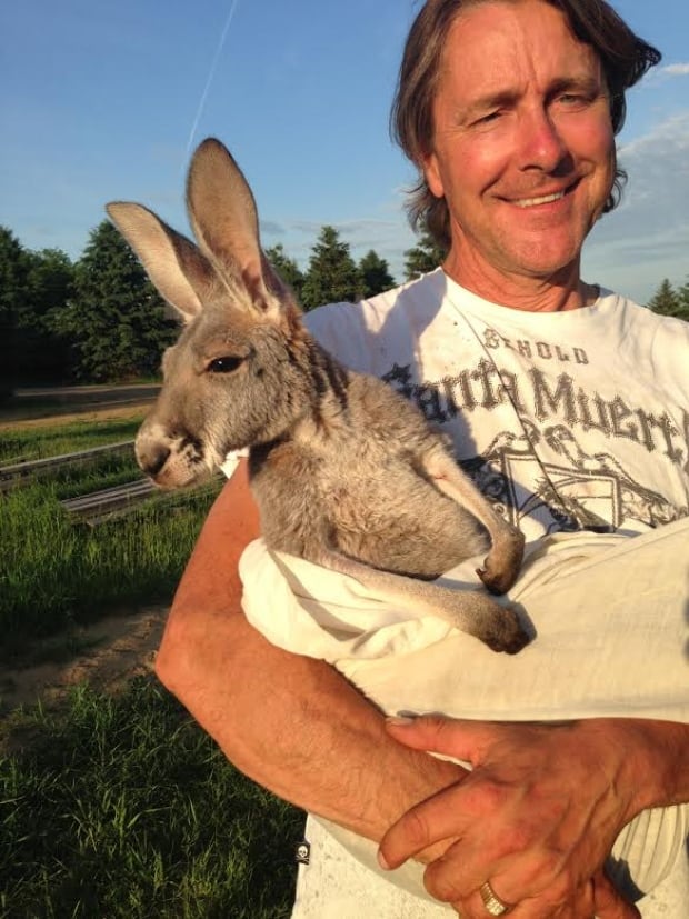 luc lefebvre mirka kangaroo