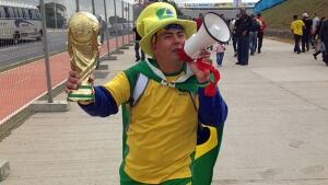 hi-brazilfan.jpg