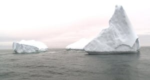 icebergs St. Anthony
