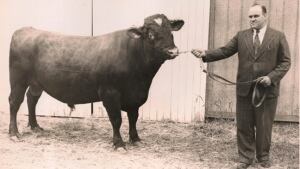 Ormstown Fair
