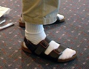 bc-140614-birkenstock-socks