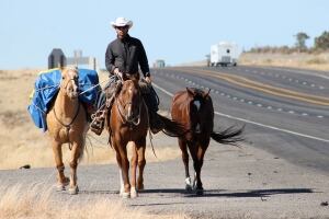 YEAR 15 Minutes Cowboy