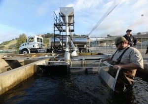 California Drought Salmon Rescue