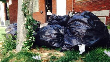 The City of Windsor's 311 call centre is being swamped by people asking questions about garbage collection. Hard-sided garbage cans Windsor