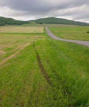 tire marks