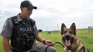 Police dog scout