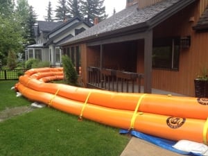 Tiger dams in Calgary