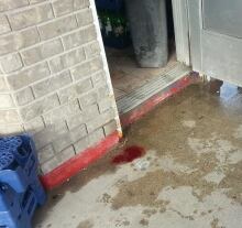 Blood on concrete